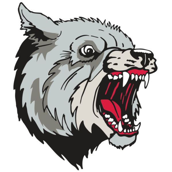 AR WOLF 38 RC Thumbnail