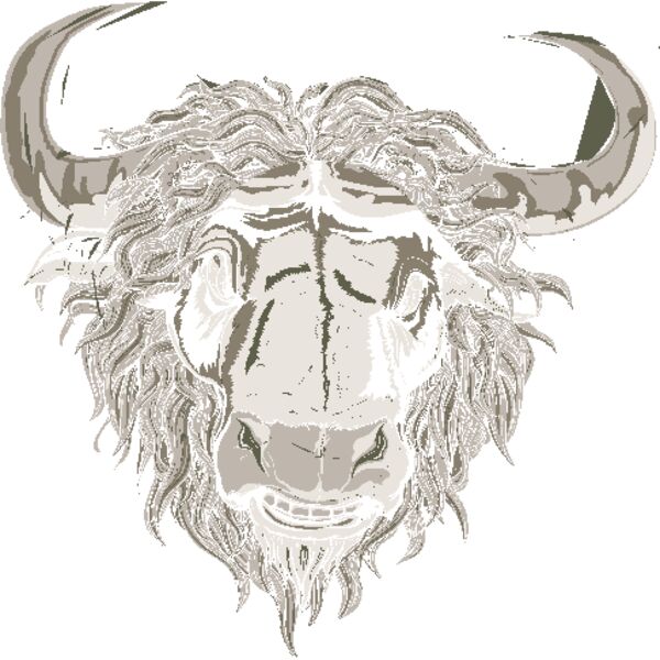 designious t shirt design 167 Thumbnail