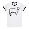 AS_5053_STAPLE_RINGER_TEE Thumbnail